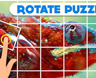 Rotate Puzzle: Jigsaw Twist online game thumbnail